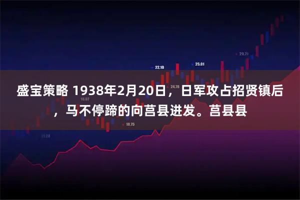 盛宝策略 1938年2月20日，日军攻占招贤镇后，马不停蹄的向莒县进发。莒县县